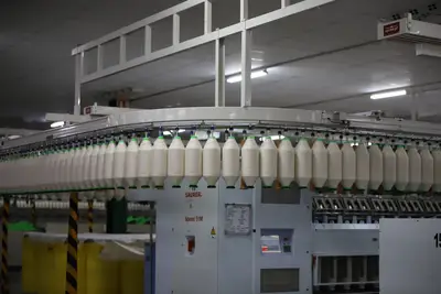 Qual è l'impatto dell'automazione sul mercato del lavoro?