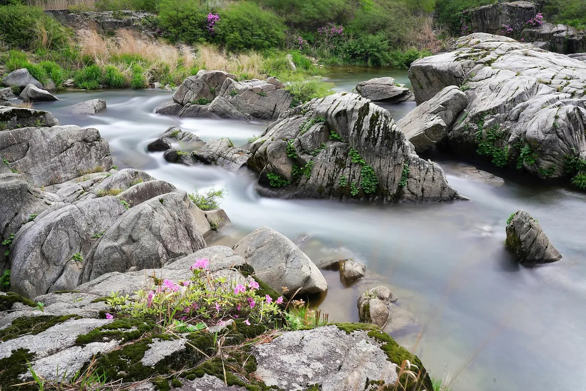 rocks, brook, stream, flow, flowing water, long exposure, rocky, river, water, clean, korea, nature, landscape, brook, stream, stream, stream, flow, river, clea