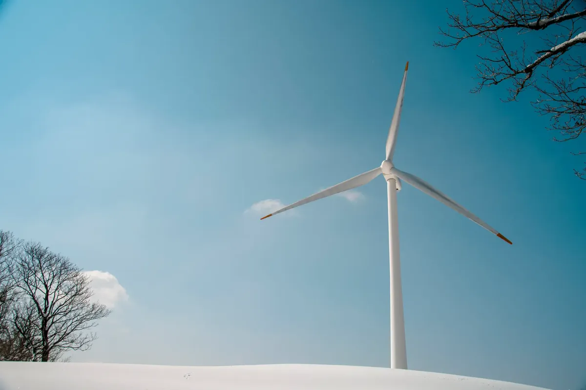 雪中的浦項昌風力發電機景觀，於清澈的藍天下展示可再生能源。
