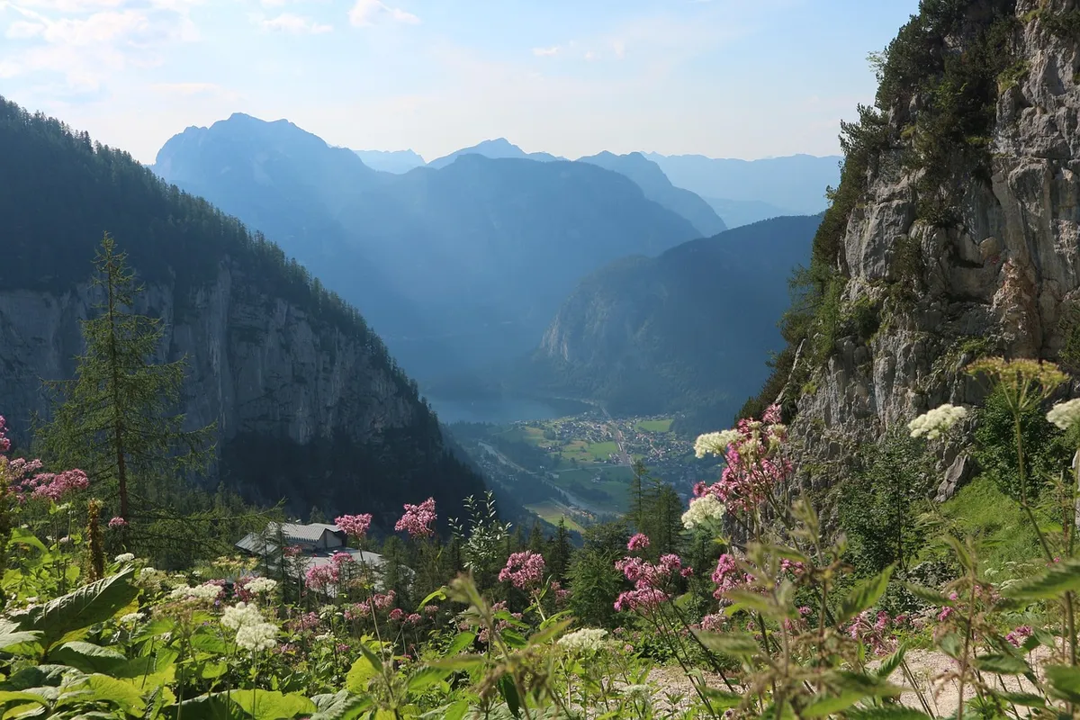 mountains, nature, flower background, alpine, austria, beautiful flowers, landscape, panorama, mountain landscape, hiking, flower wallpaper, alpine panorama, li