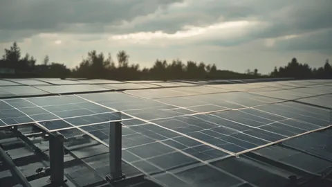 Groene Transitie: Korea's 2050 Netto Nul CO2 Strategie